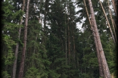 180706_Vranova_2110